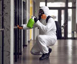 Best Mold Odor Removal Services  in USA